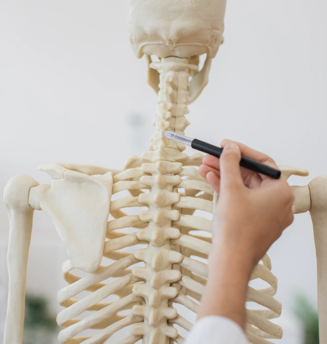 Diagnose und Untersuchung in der Osteopathie