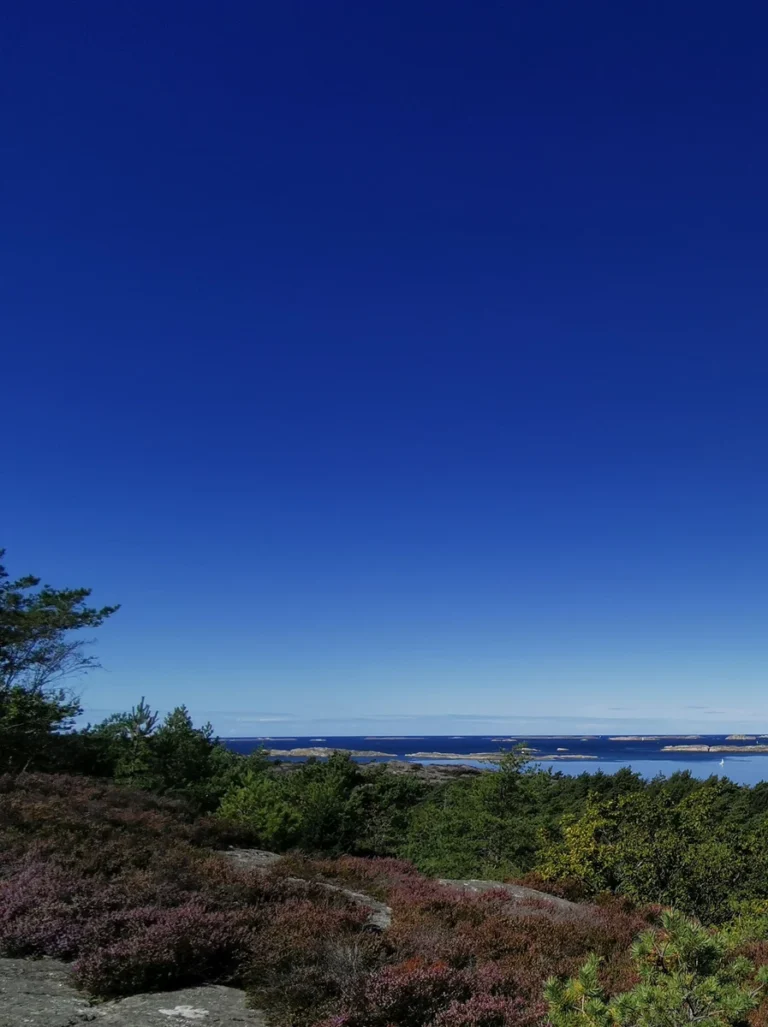 Somatic Experiencing Therapie